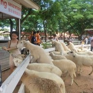 บรรยากาศ Swiss Sheep Farm