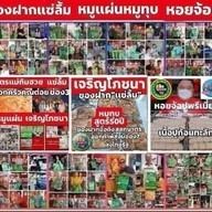 เจริญโภชนาหมูแผ่นหมูทุบหอยจ้อปู