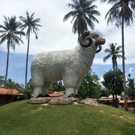 บรรยากาศ Swiss Sheep Farm