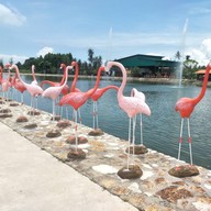 บรรยากาศ Swiss Sheep Farm