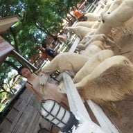 บรรยากาศ Swiss Sheep Farm