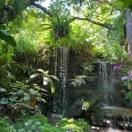 Tara Cafe เขาใหญ่