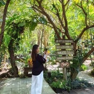 Tara Cafe เขาใหญ่