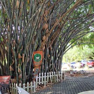 บรรยากาศ Green Zone Coffee