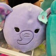 Kiddoland Baby (พัฒนาการ) พัฒนาการ