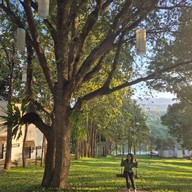 โวโรน่ารีสอร์ท