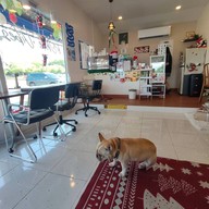 บรรยากาศ WHITE VIBES COFFE @SKY WALK .