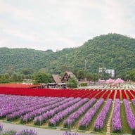 Hokkaido Flower Park Khaoyai