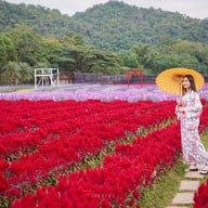 Hokkaido Flower Park Khaoyai