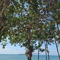 บรรยากาศ Brouke Cafe จอมเทียน