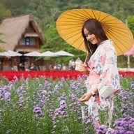 Hokkaido Flower Park Khaoyai