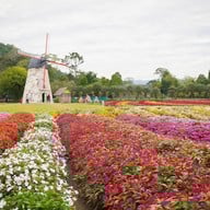 Hokkaido Flower Park Khaoyai
