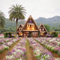 Hokkaido Flower Park Khaoyai