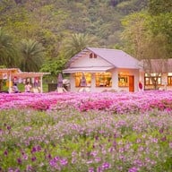 Hokkaido Flower Park Khaoyai