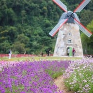 Hokkaido Flower Park Khaoyai