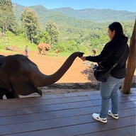 เอเลฟิน ฟาร์ม แอนด์ คาเฟ่ ELEFIN FARM & CAFE