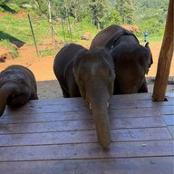 เอเลฟิน ฟาร์ม แอนด์ คาเฟ่ ELEFIN FARM & CAFE