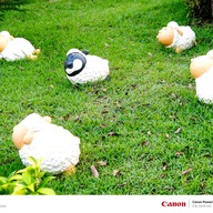 บ้านอิงน้ำรีสอร์ท