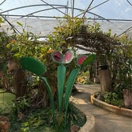 สวนพฤกษศาสตร์สมเด็จพระนางเจ้าสิริกิติ์