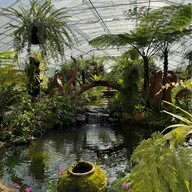 สวนพฤกษศาสตร์สมเด็จพระนางเจ้าสิริกิติ์