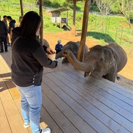 เอเลฟิน ฟาร์ม แอนด์ คาเฟ่ ELEFIN FARM & CAFE