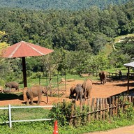 เอเลฟิน ฟาร์ม แอนด์ คาเฟ่ ELEFIN FARM & CAFE