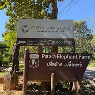 เอเลฟิน ฟาร์ม แอนด์ คาเฟ่ ELEFIN FARM & CAFE