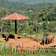 เอเลฟิน ฟาร์ม แอนด์ คาเฟ่ ELEFIN FARM & CAFE