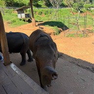 เอเลฟิน ฟาร์ม แอนด์ คาเฟ่ ELEFIN FARM & CAFE