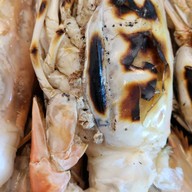 ฟ้าไทยฟาร์ม