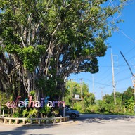 ฟ้าไทยฟาร์ม