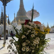 shwedagon pagoda