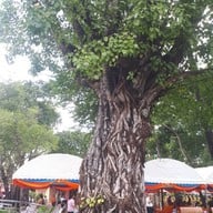 วัดศาลาลอย