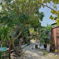 มาเธอร์-Mother