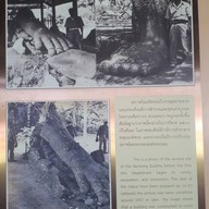 วัดธรรมจักรเสมาราม