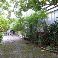 ครัวบ้านปลาทอง