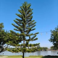 Tara Kaffee&patisserie