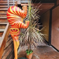 บรรยากาศ The Little Prince Cafe