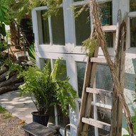 มาเธอร์-Mother