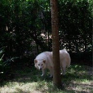 The Humble Jack Cafe & Bistro