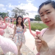 บรรยากาศ Swiss Sheep Farm