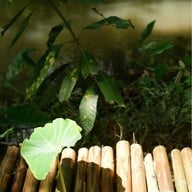 The Humble Jack Cafe & Bistro