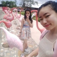 บรรยากาศ Swiss Sheep Farm