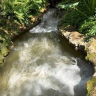 Rainforest Cafe Kanchanaburi