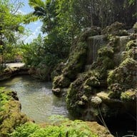 Rainforest Cafe Kanchanaburi