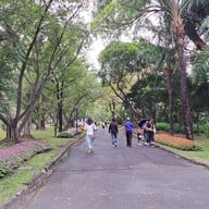 บรรยากาศ สวนหลวง ร. 9