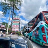 ช่อชะมวง นครนายก