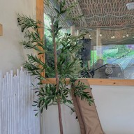 Juice Bar & Cafe