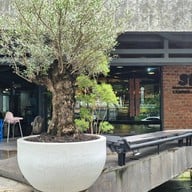 Sila Coffee & Bistro -