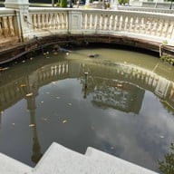 กาแฟนรสิงห์ ณ วังพญาไท